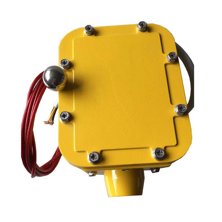 皮帶縱向撕裂檢測器SCPT-180-30、皮帶縱向撕裂檢測裝置ZL-B-II-100生產(chǎn)